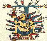 Mayahuel, in baarhouding zittend op een schildpad. Afbeelding uit de Borgia Codex