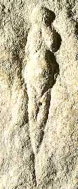 Venus van Abri Pataud, een overhangende rots bij Les Eyzies, waar zich een Cro Magnon-nederzetting bevond.