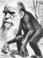 Darwin stamt af van aap