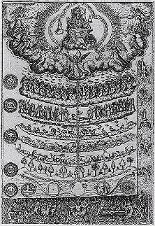 Scala naturae